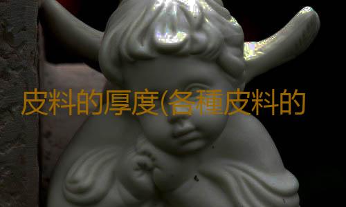 皮料的厚度(各種皮料的真皮皮衣怎麽選?各種皮料的特點介紹)